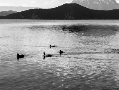 SlotoCash Kasino Mobilná aplikácia